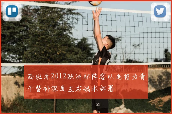 西班牙2012欧洲杯阵容以老将为骨干替补深度左右战术部署