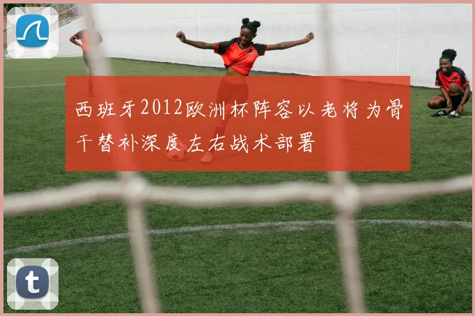 西班牙2012欧洲杯阵容以老将为骨干替补深度左右战术部署