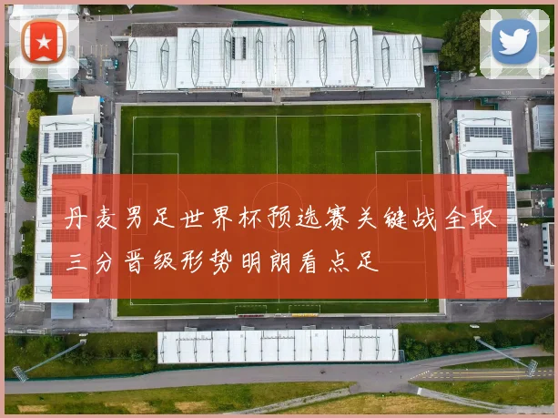 丹麦男足世界杯预选赛关键战全取三分晋级形势明朗看点足