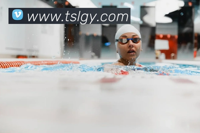 nba热火夺冠阵容回顾 三巨头核心配置与替补深度解析